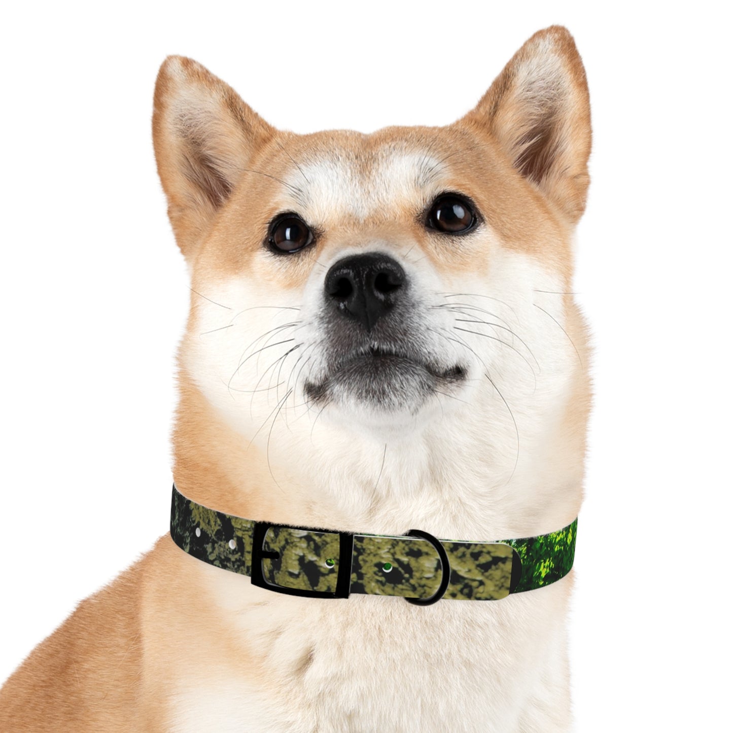 Nature Dog Collar "I'm a disc golfer too" Disc Golf Accessory by Celestial Discs