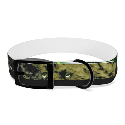 Nature Dog Collar "I'm a disc golfer too" Disc Golf Accessory by Celestial Discs