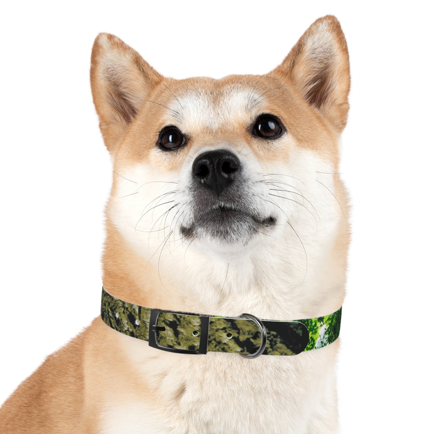 Nature Dog Collar "I'm a disc golfer too" Disc Golf Accessory by Celestial Discs