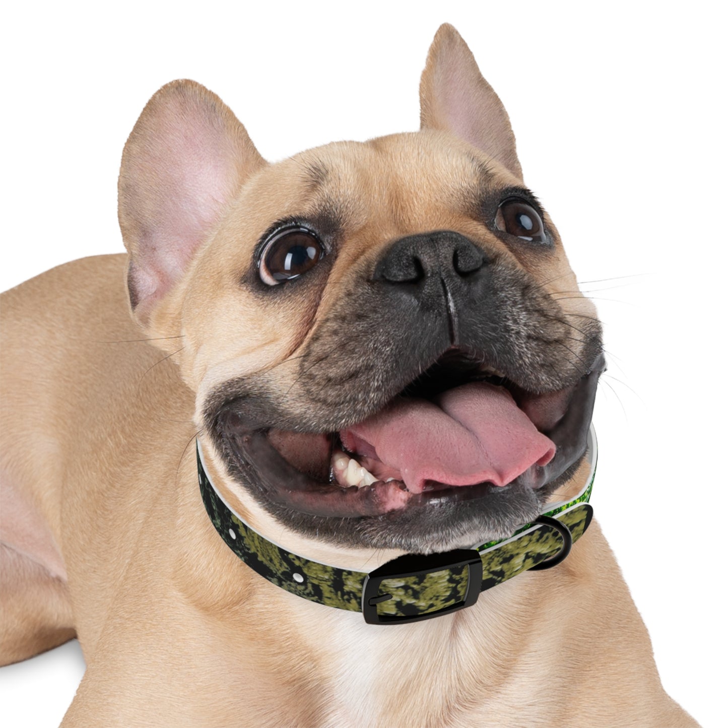 Nature Dog Collar "I'm a disc golfer too" Disc Golf Accessory by Celestial Discs