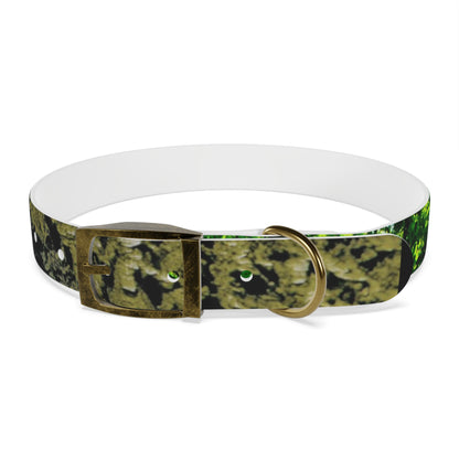 Nature Dog Collar "I'm a disc golfer too" Disc Golf Accessory by Celestial Discs