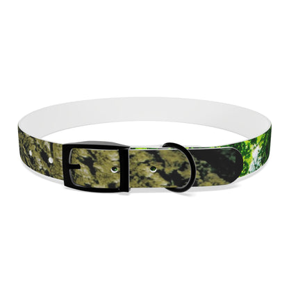 Nature Dog Collar "I'm a disc golfer too" Disc Golf Accessory by Celestial Discs