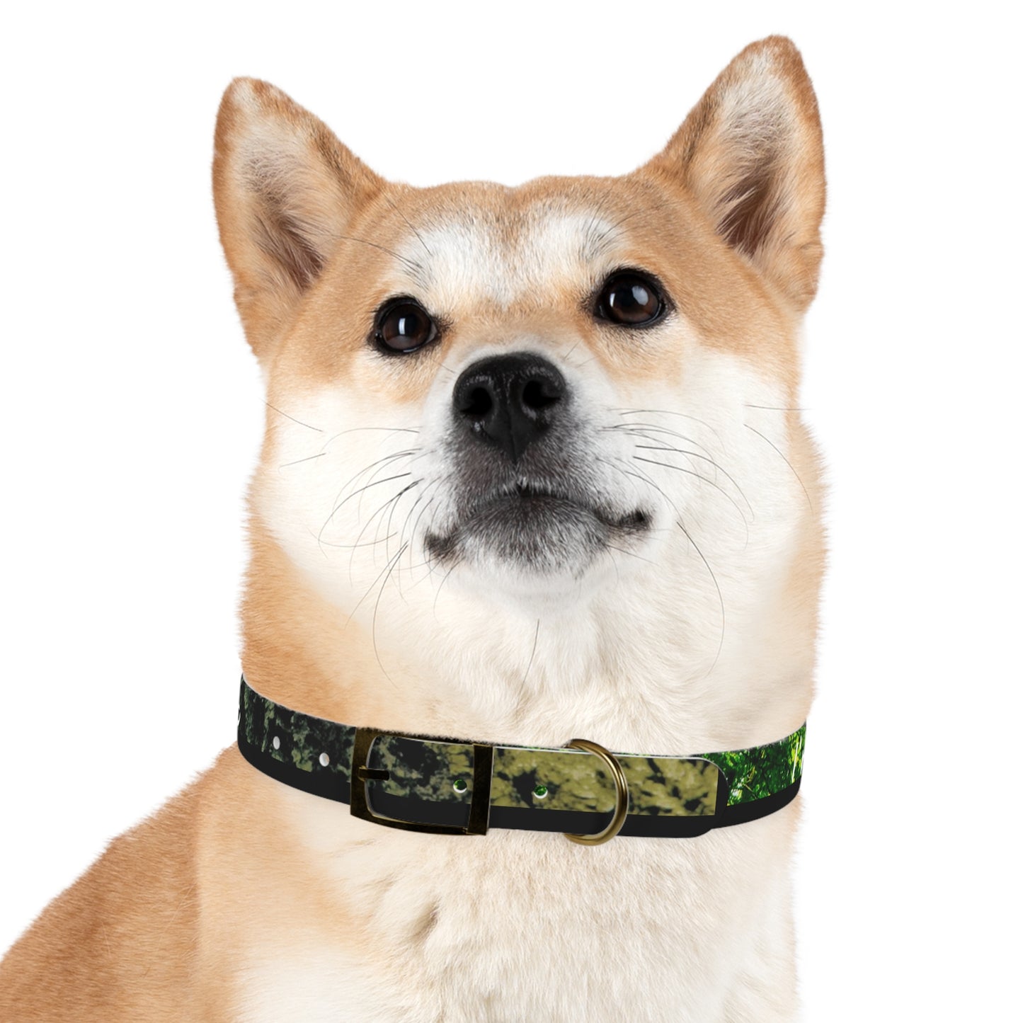 Nature Dog Collar "I'm a disc golfer too" Disc Golf Accessory by Celestial Discs