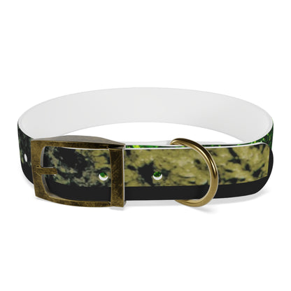 Nature Dog Collar "I'm a disc golfer too" Disc Golf Accessory by Celestial Discs