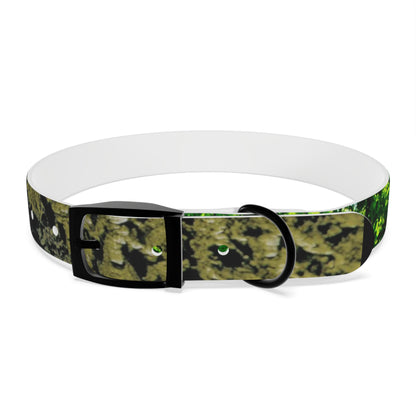 Nature Dog Collar "I'm a disc golfer too" Disc Golf Accessory by Celestial Discs